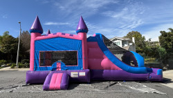 IMG 1016 1770662149 4 in 1 Enchanted combo wet/dry